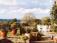 The south facing garden